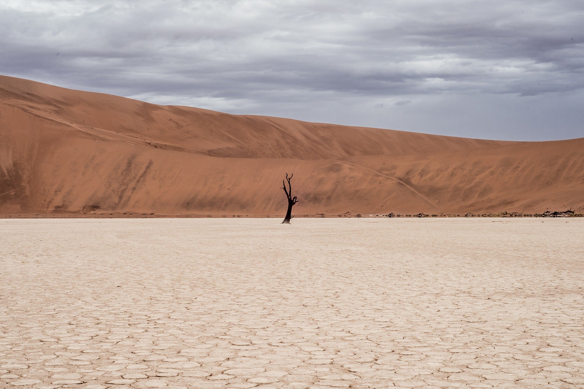 L'impact de la Mode sur l'Environnement et l'Homme